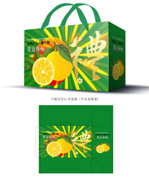 黄金贡柚包装