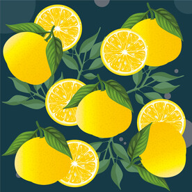 手绘黄金贡柚
