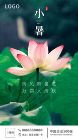 小暑海报