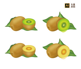 猕猴桃插画 