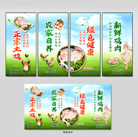 生鲜土鸡海报