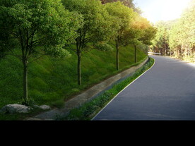 乡村振兴美丽乡村改造绿化效果图