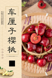 车厘子樱桃