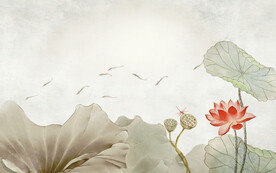 荷花背景墙