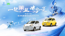 汽车滑雪车友会活动