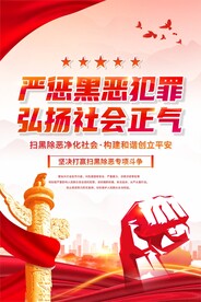 严惩黑恶犯罪 弘扬社会正气