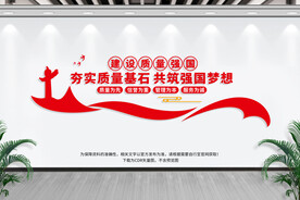 建设质量强国