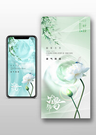 医美大暑节气海报