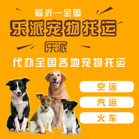 宠物店托运主图