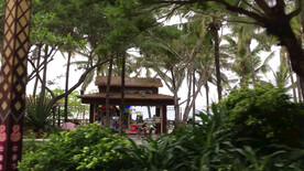 游览车上游海南