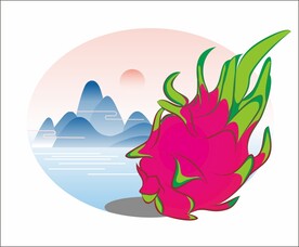 火龙果矢量