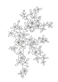 黑白花卉图案设计