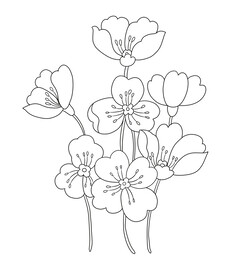 黑白花卉图案设计