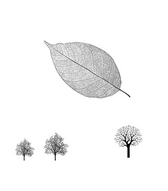 高清分层透明底推拉门打印图