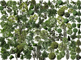 景观设计素材鸟瞰树