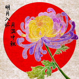 手绘水彩古风菊花中秋插画