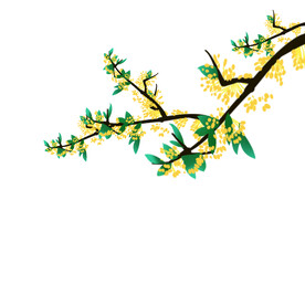 立秋植物黄花元素