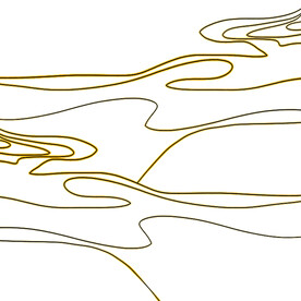 金色线条装饰元素