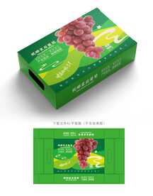 妮娜皇后红提包装 