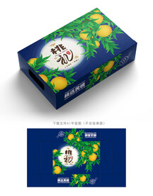 黄桃包装