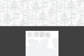 白桦林树木森林大型背景墙壁画