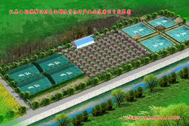 苗木种植效果图