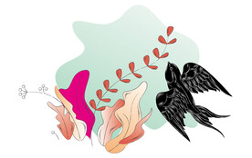 燕窝产品手绘矢量插画