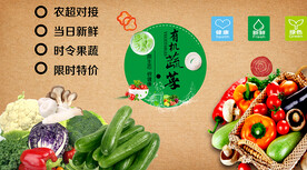 有机蔬菜背景墙