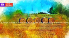 秋季成捆的干草垛