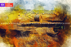 秋季成捆的干草垛