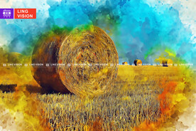 秋季成捆的干草垛