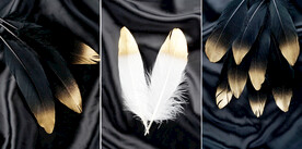 轻奢装饰画 羽毛