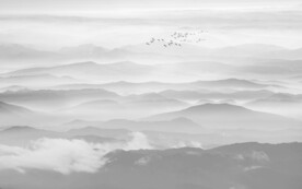 新中式水墨山水背景墙