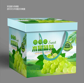 晴王葡萄包装