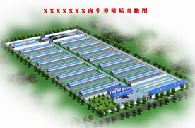 万头肉牛养殖小区效果图