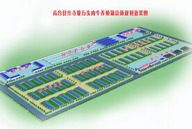 万头肉牛养殖场效果图