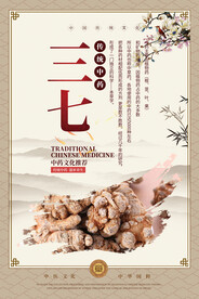 三七中药海报