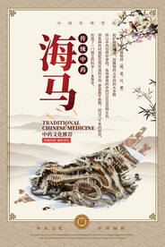 海马中药海报