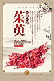 茱萸中药海报