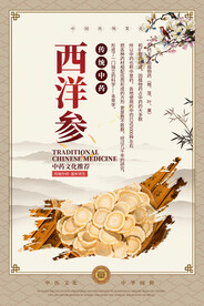 西洋参中药海报