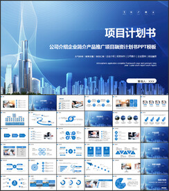 公司项目计划书PPT