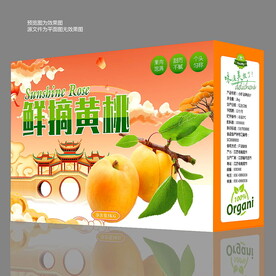 黄桃包装