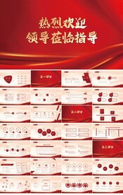 热烈欢迎上级领导莅临指导PPT