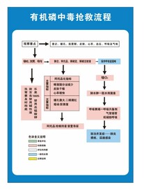 有机磷抢救流程