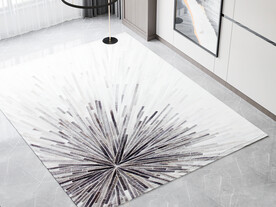 客厅场景 地毯背景