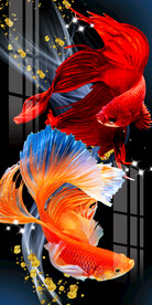 时尚斗鱼孔雀鱼轻奢线条玄关