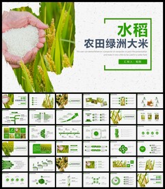 水稻农田农业种植大米PPT模板