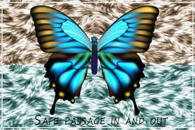 抽象羽毛蝴蝶地毯