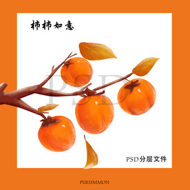 红色柿子手绘图