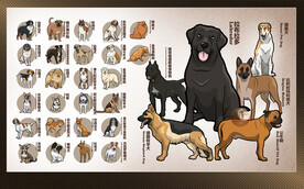 矢量手绘世界名犬